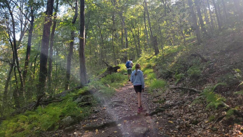 A young girl and man hike up a steep hill in a forest