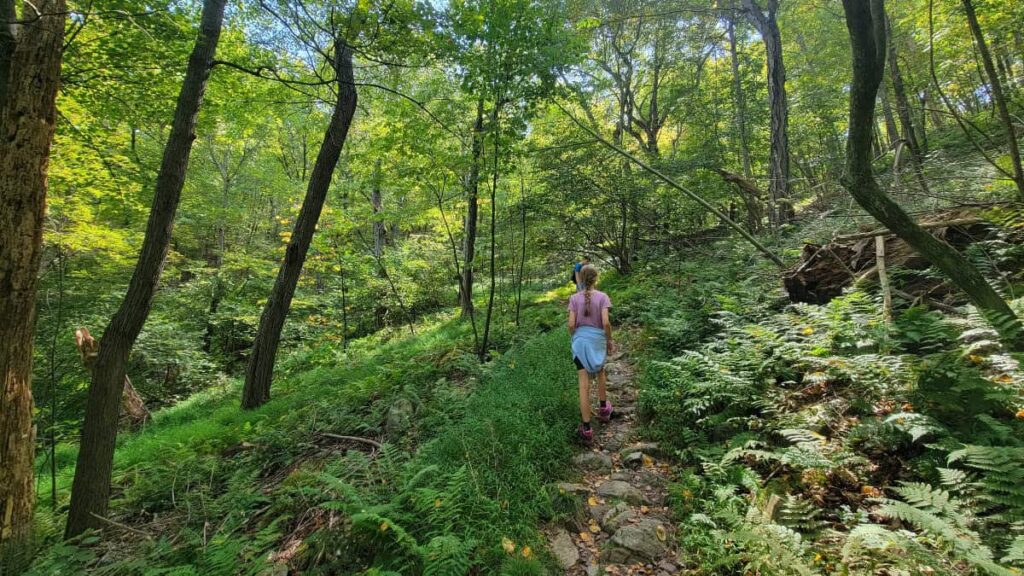 A young girl hikes up a rocky trail in a forest