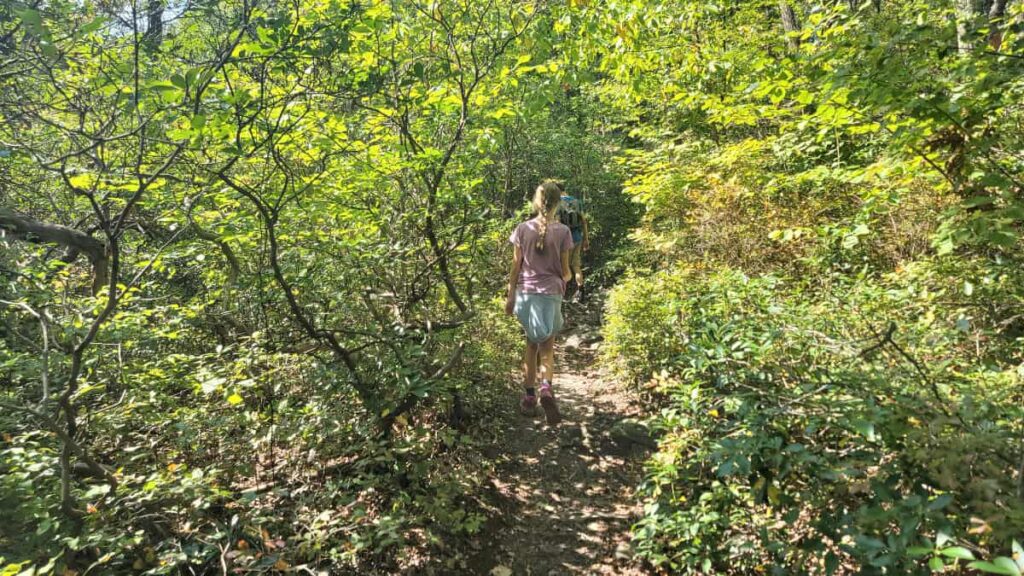 A young girl walks through large rhododendrons and other green bushes along a rocky trail