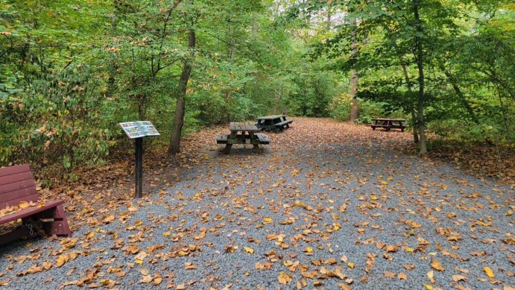 An open space in the woods contains several picnic tables and a charcoal grill