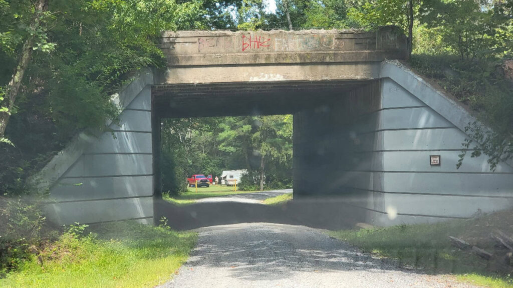 An overpass creates a tunnel on Oregon Road in Buchanan State Forest