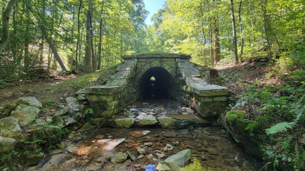 Looking into a stone viaduct in the middle of the Buchanan State Forest