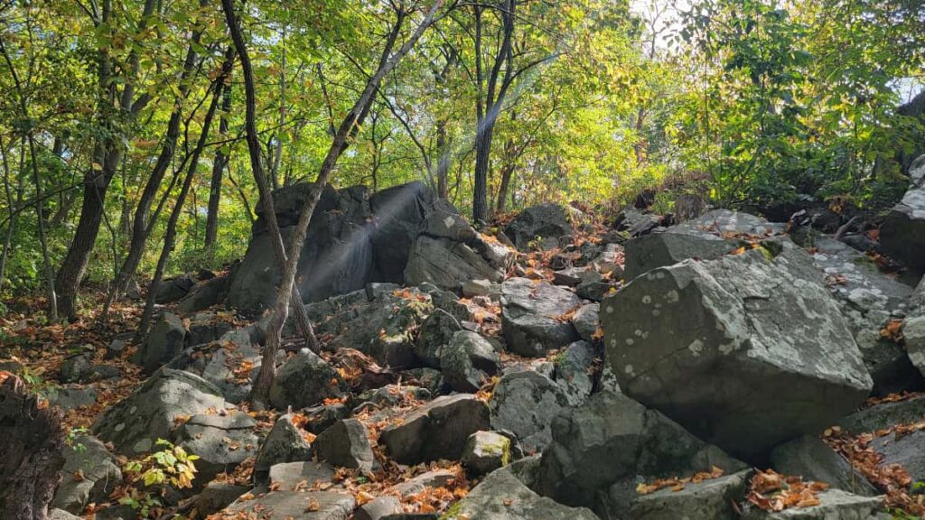 Large rocks and boulders cover a hiking trail through the woods