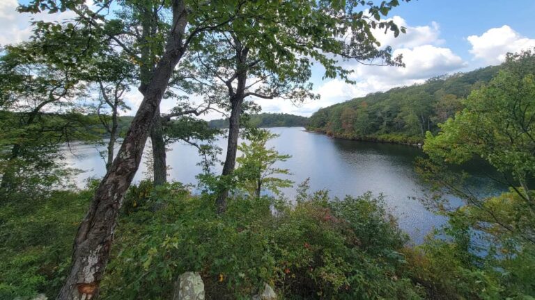 View of a glacial lake in New Jersey with trees surrounding