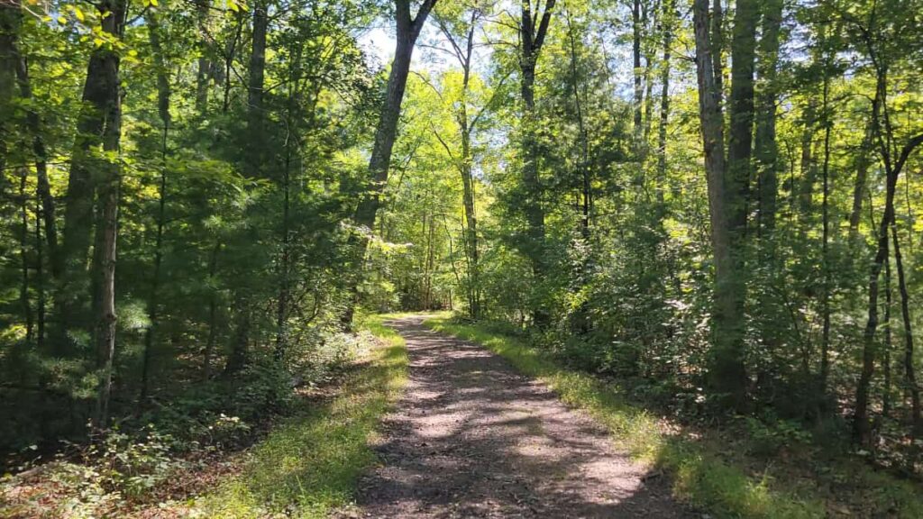 A flat a mostly easy gravel path leads through the woods leading to the abandoned pa turnpike