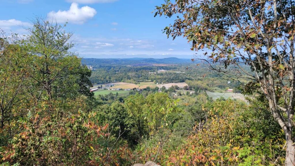 Looking out through trees with farms, a mountain, and town in the distance