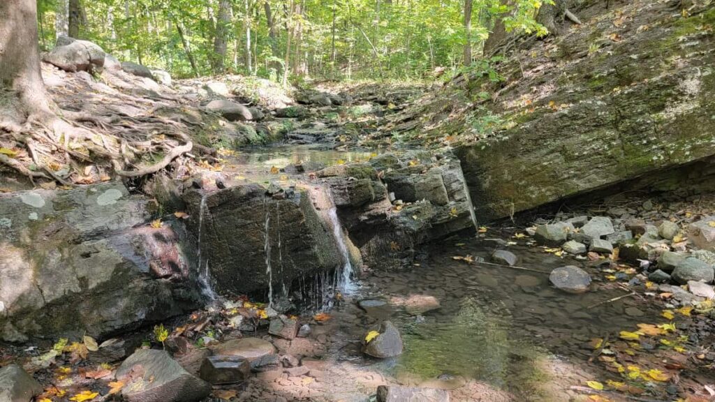 water trickles over a rock dropping about two to three feet to a large puddle below