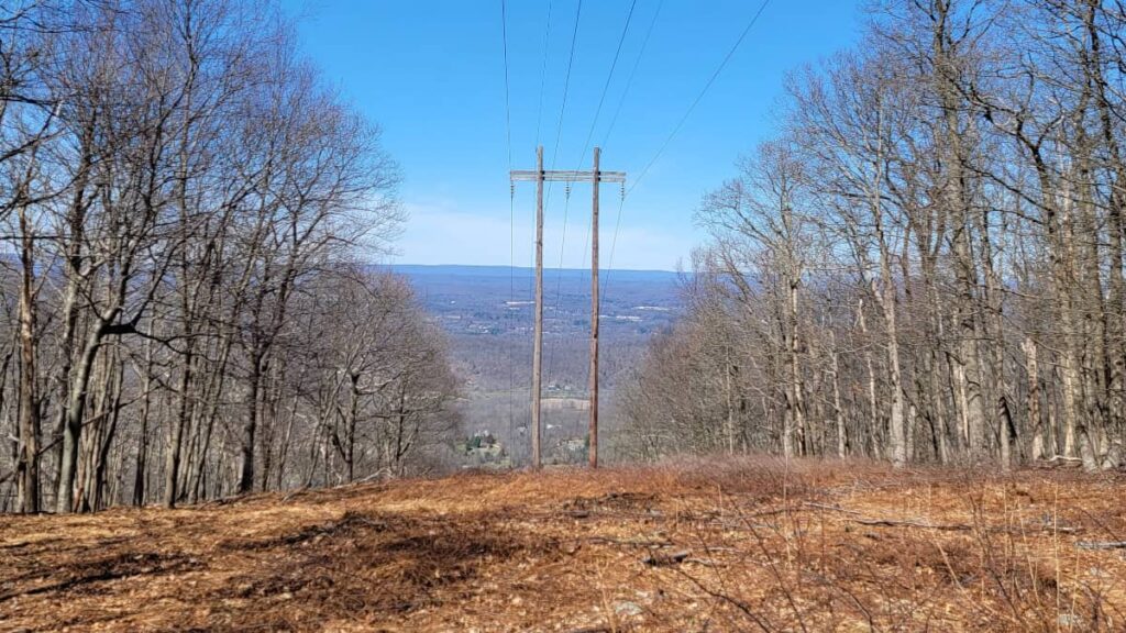 looking through a break in the trees where powerlines run