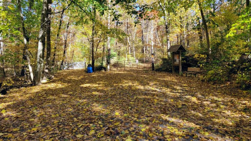 View of a parking area covered in leaves with a gate in the background