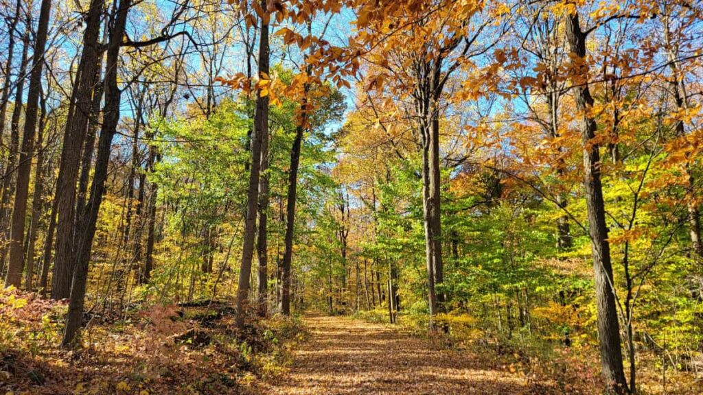 THe Orange Trail at Mill Hill is flat and wide