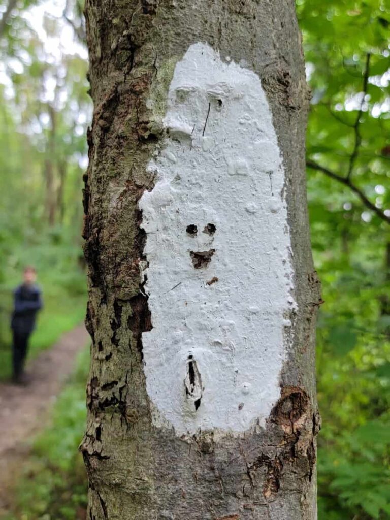 A white trail blaze marker has a smiley face carved in the cemter
