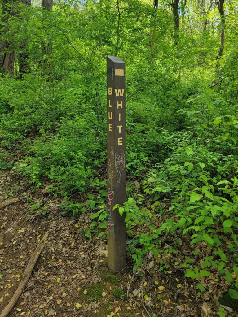 A wooden post with trail names on either side marks a trail in the woods