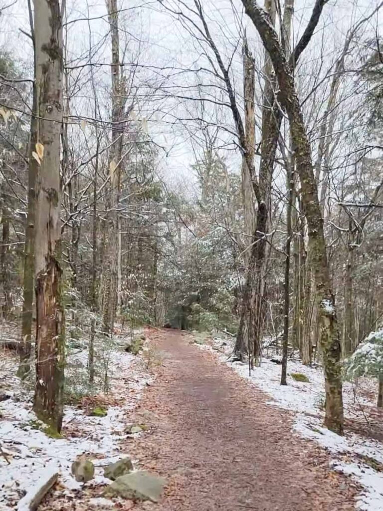 Looking at the Highland Trail in Ricketts Glen during the early spring with snow on the ground