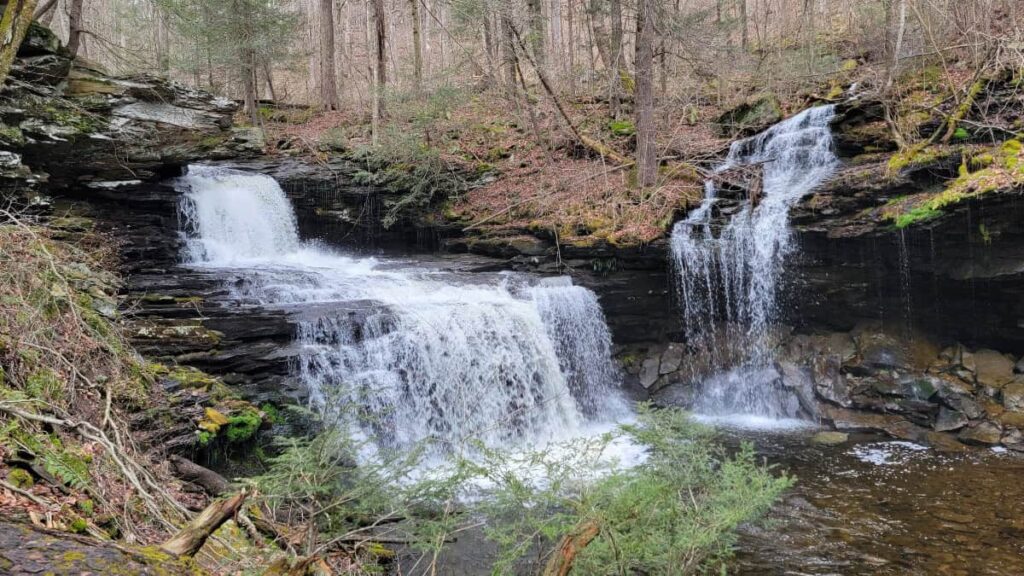 RB Ricketts Falls is two waterfalls in one