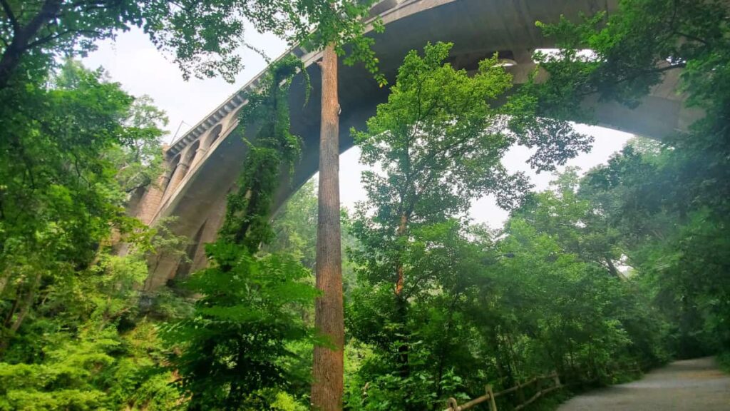 A large concrete bridge looms above crossing over Forbidden Drive and Wissahickon Creek