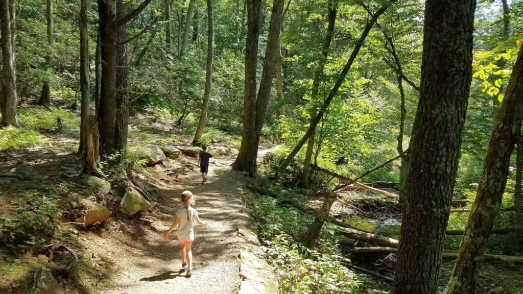 Two young kids run down a dirt trail in the forest