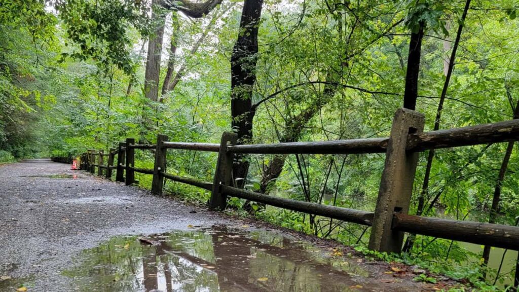 a puddle of waters sits on a flat trail in the forest
