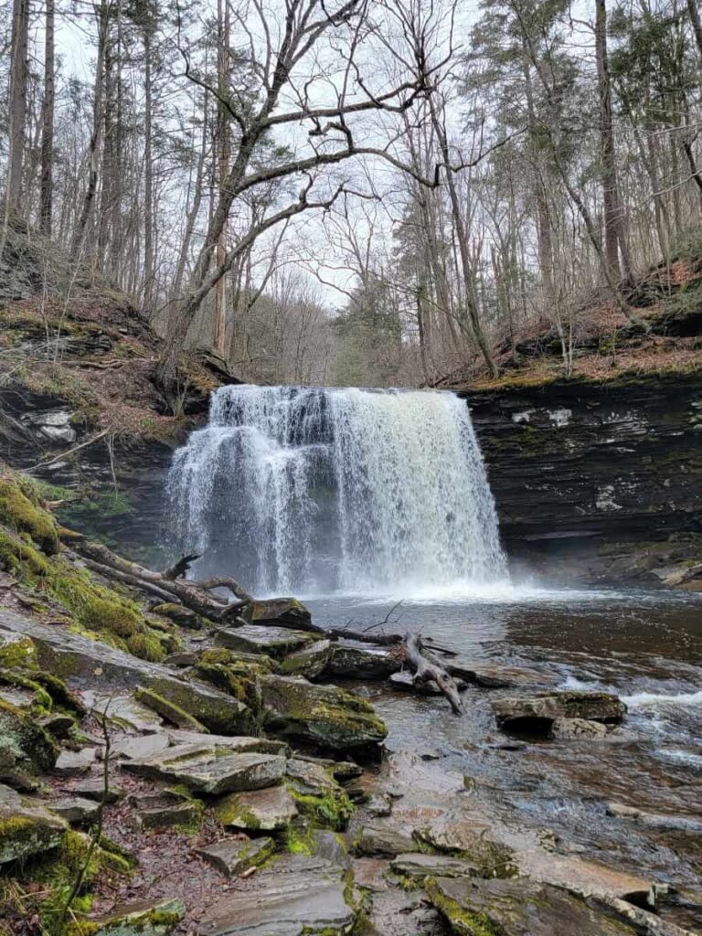 Harrison Wright Falls at Ricketts Glen in early April