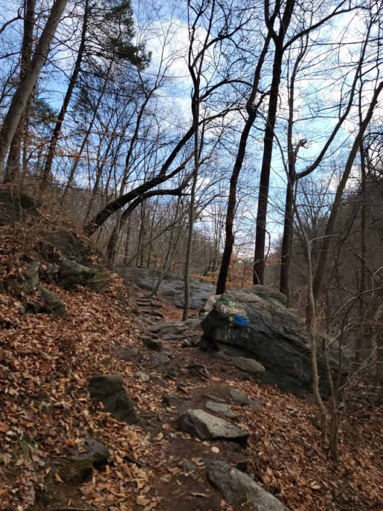 Looking up a hiking trail in Wissahickon valley park