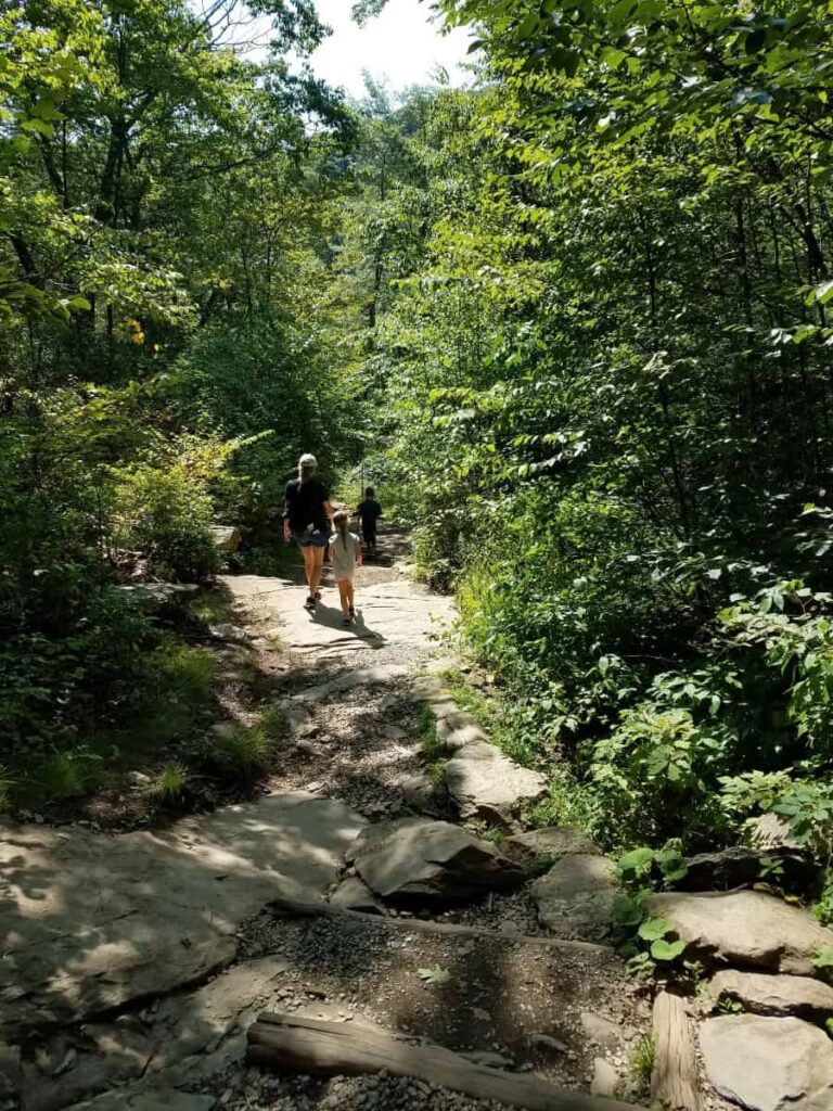 A mother and child hike on a large rock in the forest