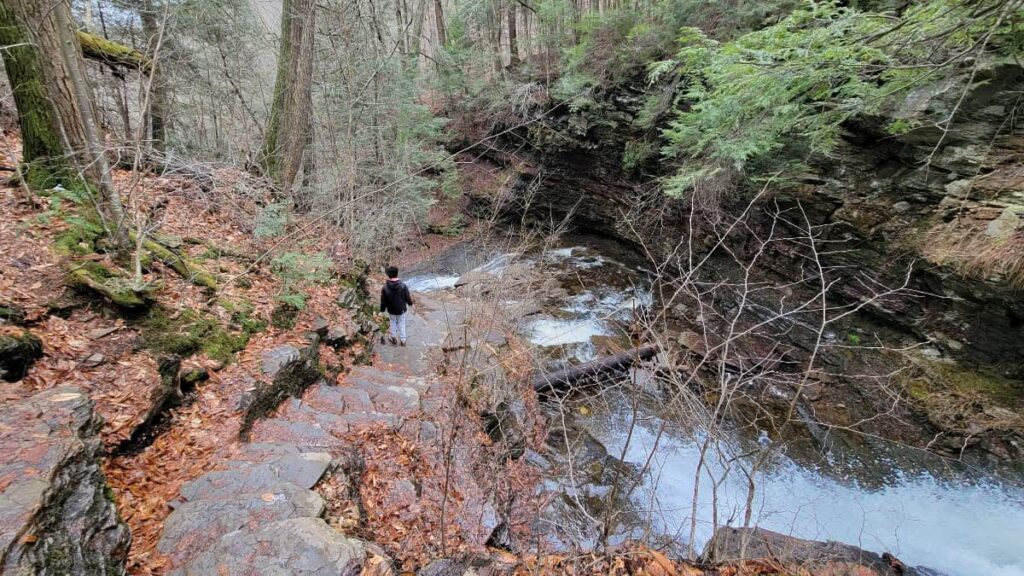 Looking down the stone stairs along the Falls Trail at Ricketts Glen