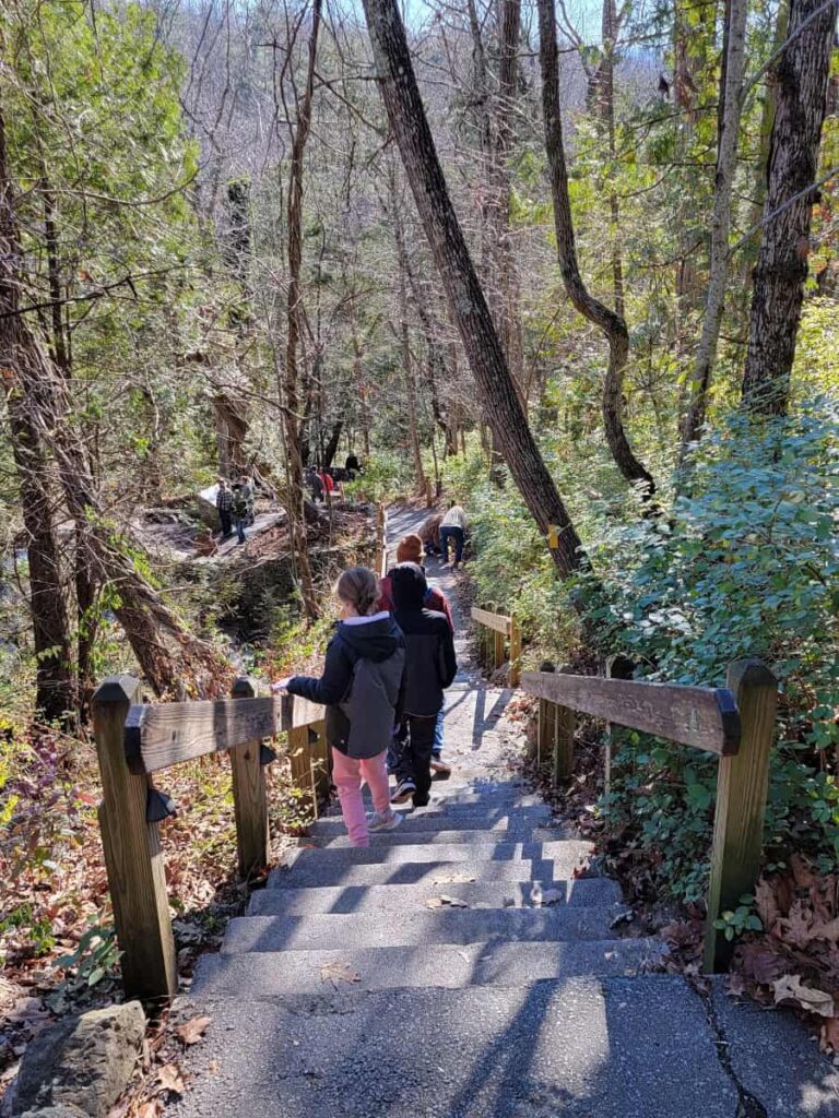 Two kids walk down cement steps in the woods at Natural Bridge State Park