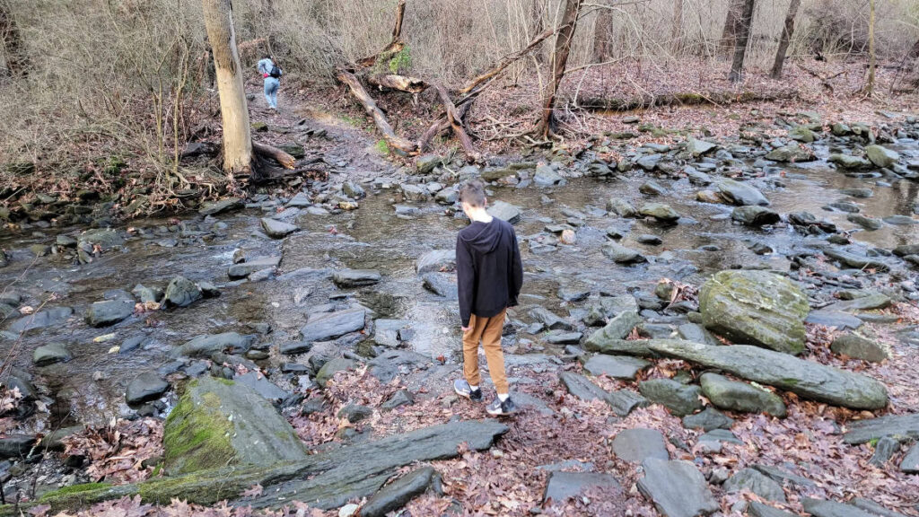 A boy crosses a small stream in the woods