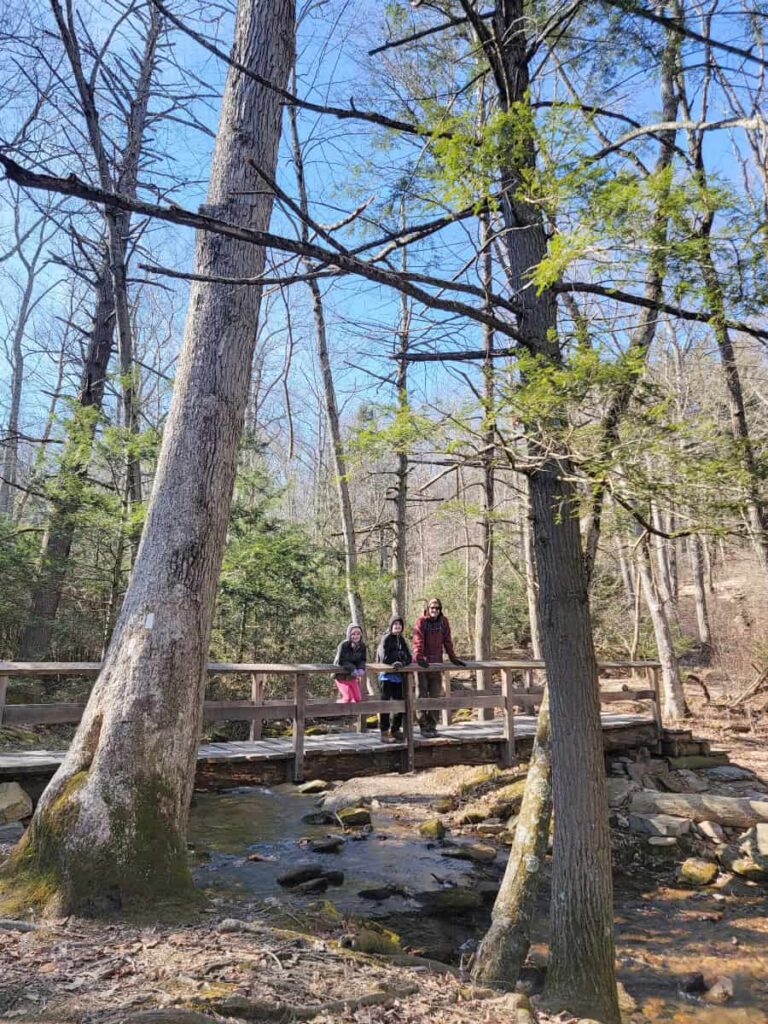 A father and two children stand on a wooden footbridge with a railing in the forest during winter