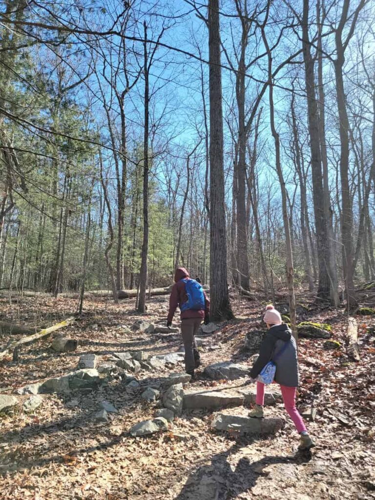 A man and young girl climb up a dirt and rock trail in the forest in wintertime