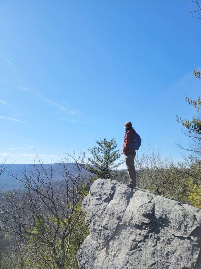 A man stands on a large rock outcropping looking out towards a pine forest