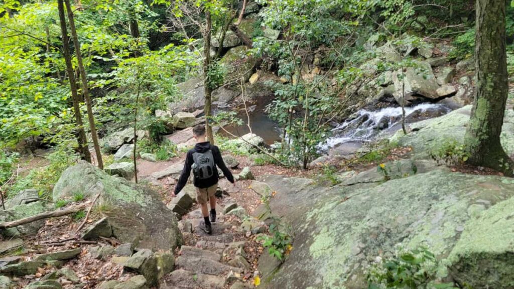 A boy walks down stone steps next to a creek