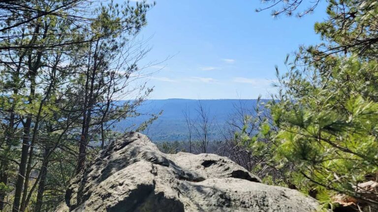 Looking out through pine trees and over a large outcropping at a mountain ridge in the distance