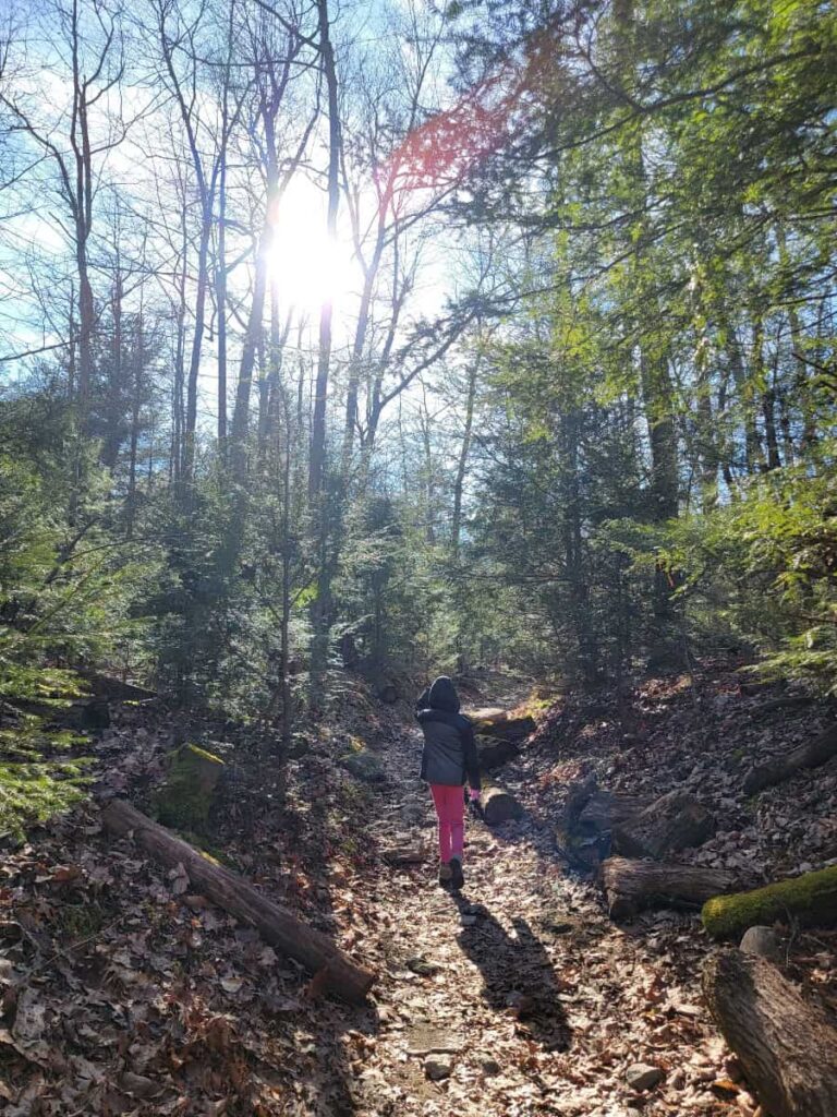 A young girl hikes along a dirt and rocky trail in Michaux State Forest