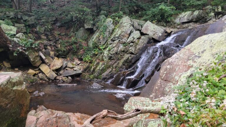 A small waterfall cascades down rocks with a pool of water below