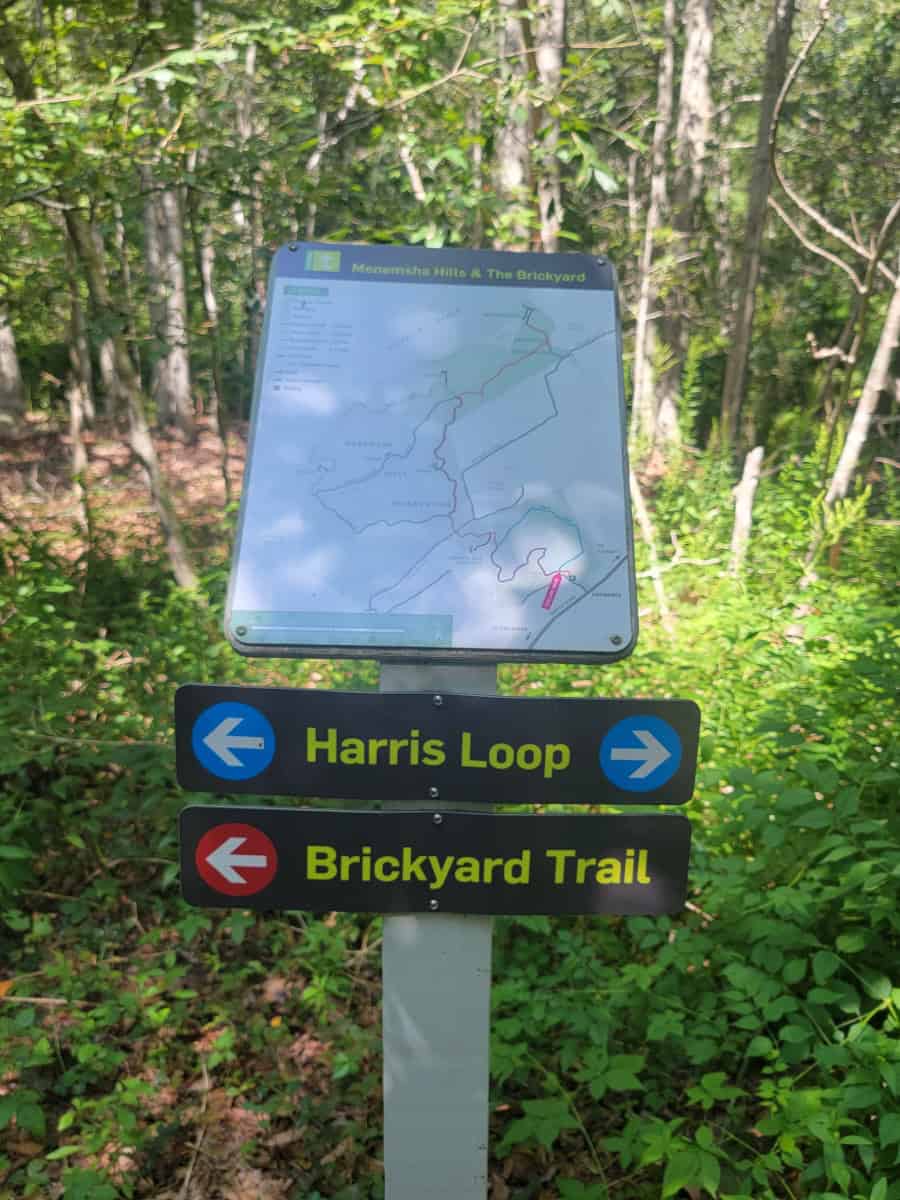 The Brickyard Trail: Hike to a Small Beach on Martha's Vineyard ...