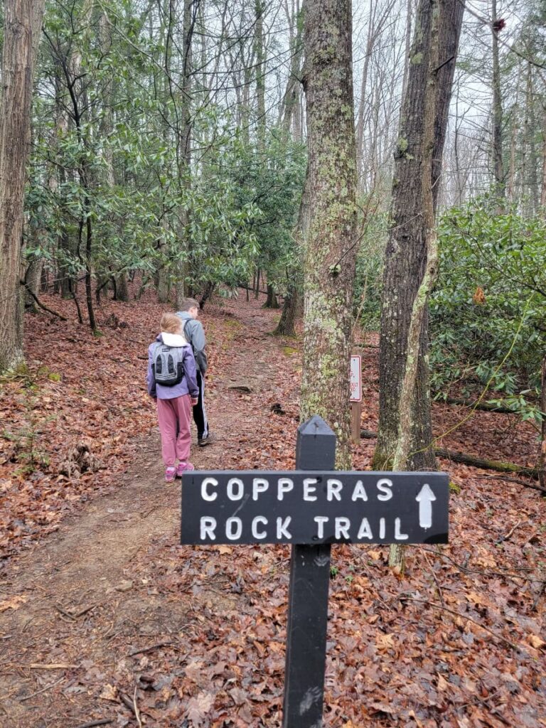 Kids stand along a trail just past a "copperas rock trail" sign