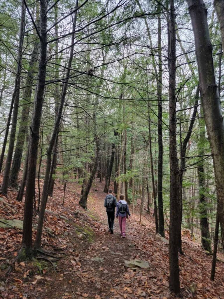 Two kids walk through a forest