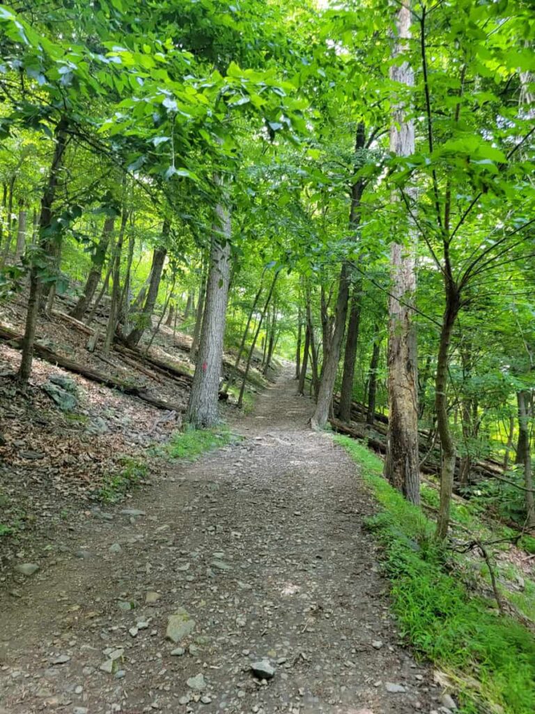 A flat steep trail leads to the Maryland Heights overlook