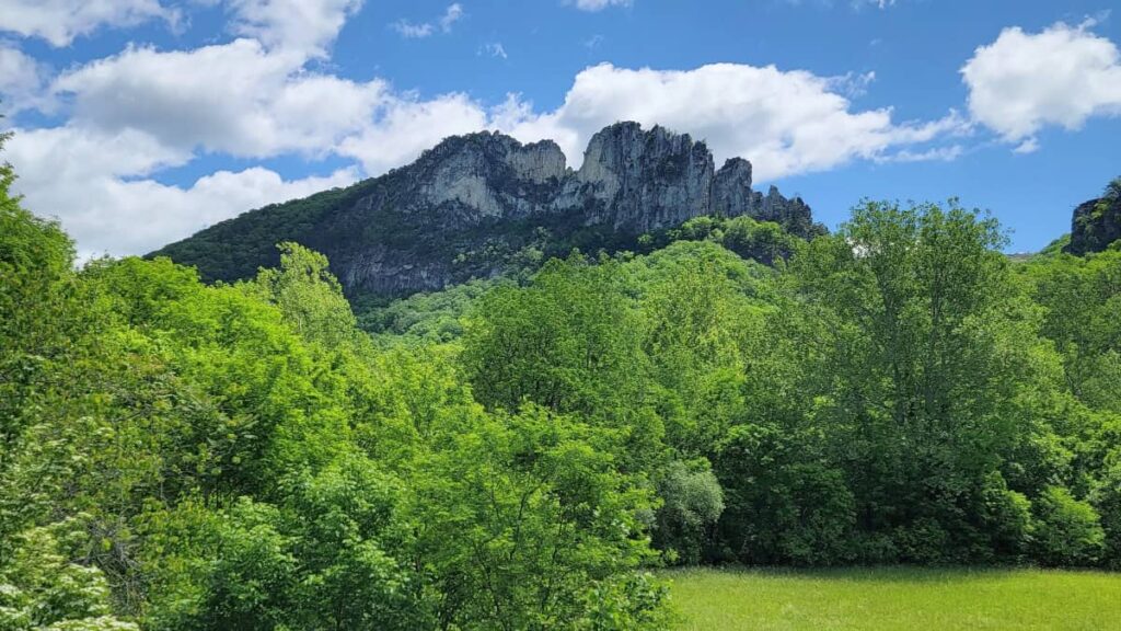 Seneca Rocks juts out over the trees in West Virginia