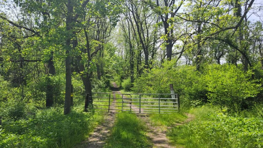 the entry to a wide dirt and gravel path has a gate crossing