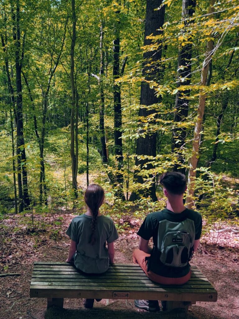 two kids sit on a wooden bench looking out over a forest