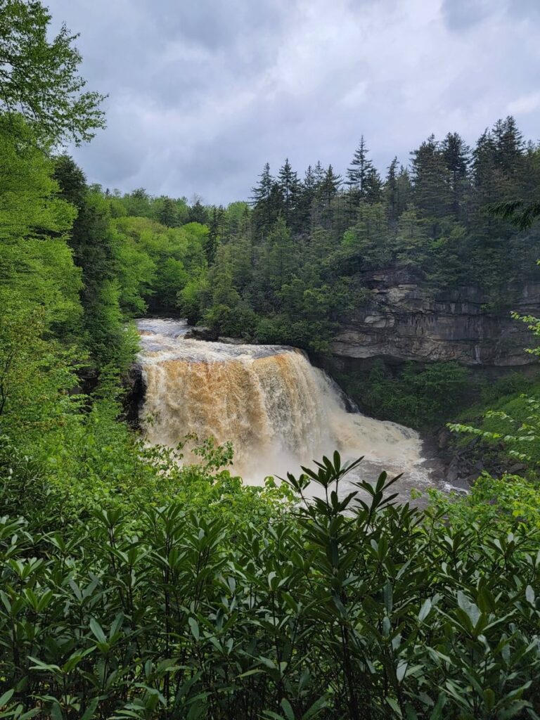 View of Blackwater Falls and the amber color water from the upper viewing platform along the Blackwater Falls trail