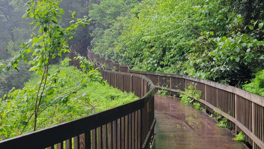 View of the boardwalk and stairs leading from the lower viewing platform on the Blackwater Falls Trail