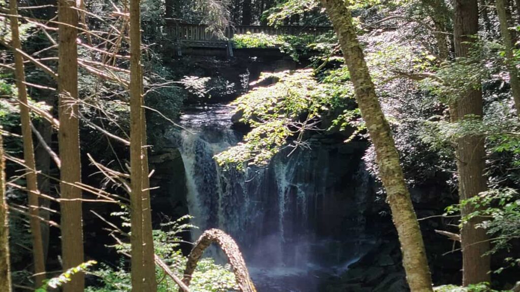 A glimpse of Elakala Falls through the trees