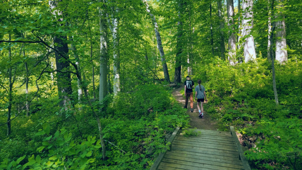 two kids finish crossing a wooden footbridge