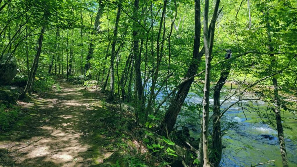 A flat dirt trail follows on the left side of the Musconetcong River