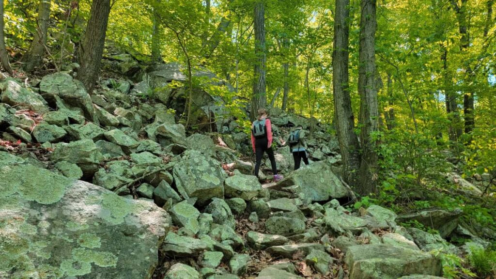 Two kids hike up a rocky incline in the woods