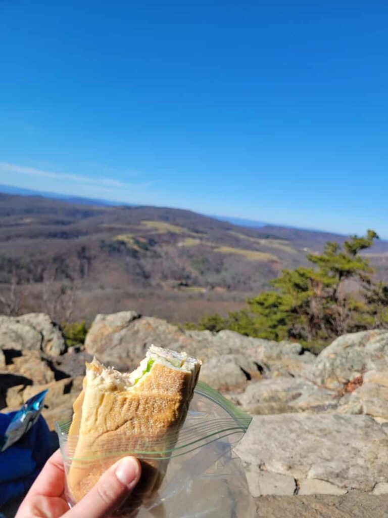 A hand is holding a sandwich up with a mountain view in the distance