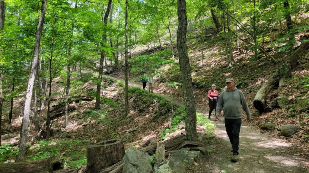 Hikers walk up at steep trail in the woods at Seneca Rocks