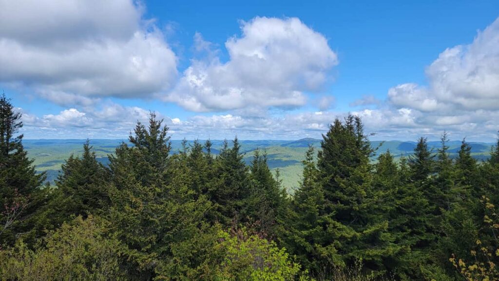 Looking West from the Observation Tower at Spruce Knob